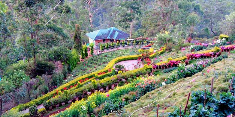 botanical garden munnar Kerala